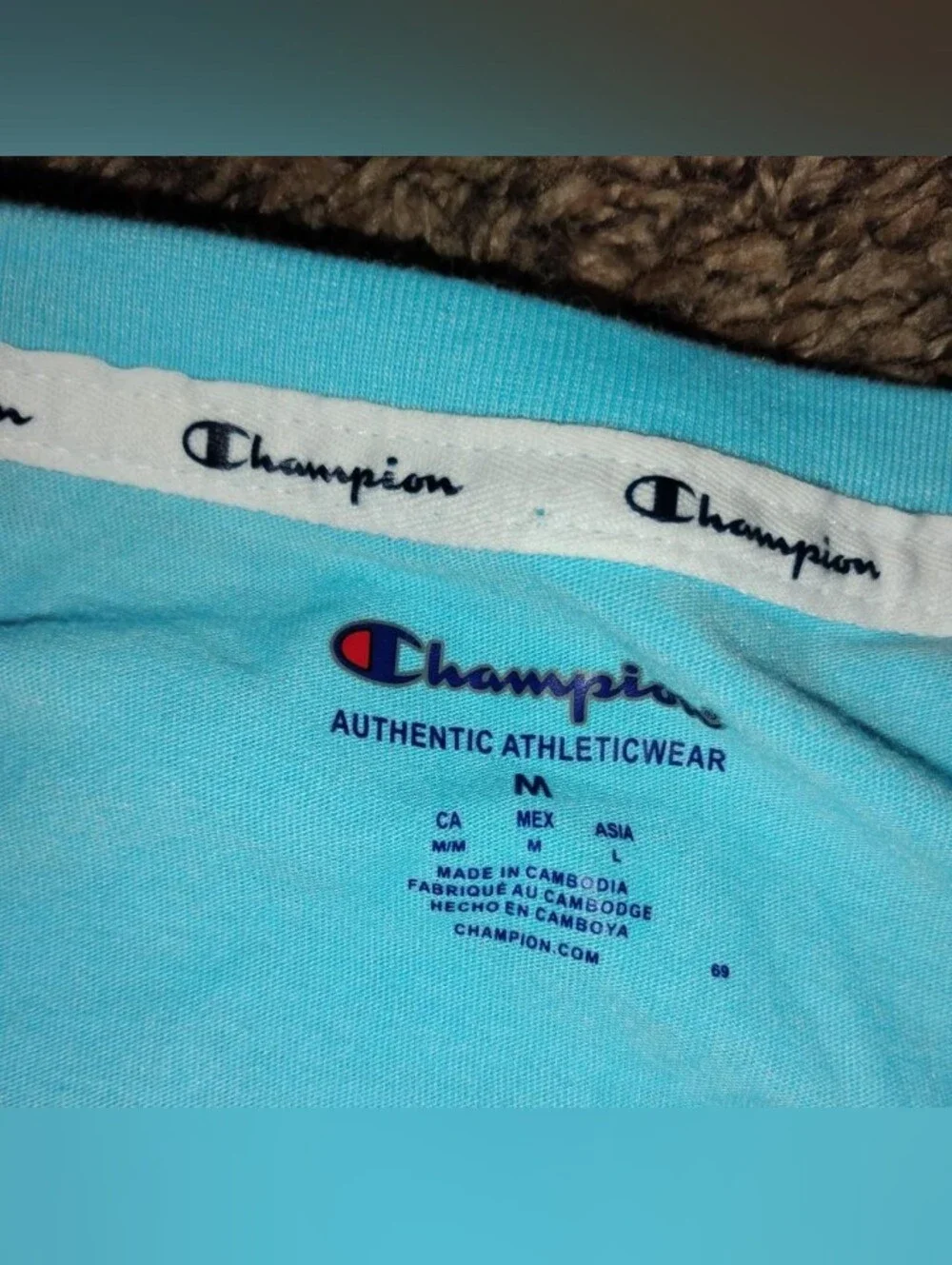 Champion Women’s Aqua Blue Cropped Graphic T-Shirt Logo Size Medium - Picture 2 of 6